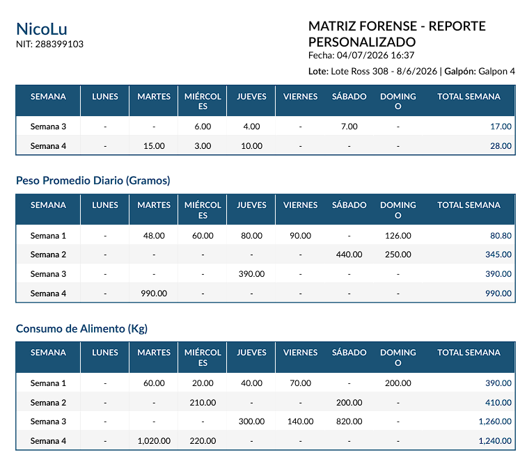 Reporte PDF 2